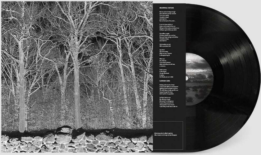 Pile Sunshine and Balance Beams LP/Vinyl