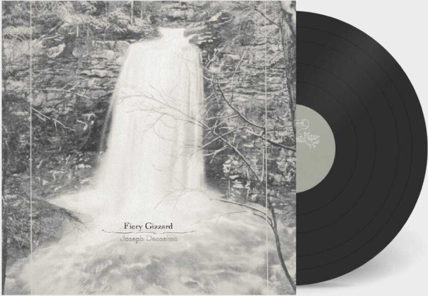 Joseph Decosimo Fiery Gizzard LP/Vinyl