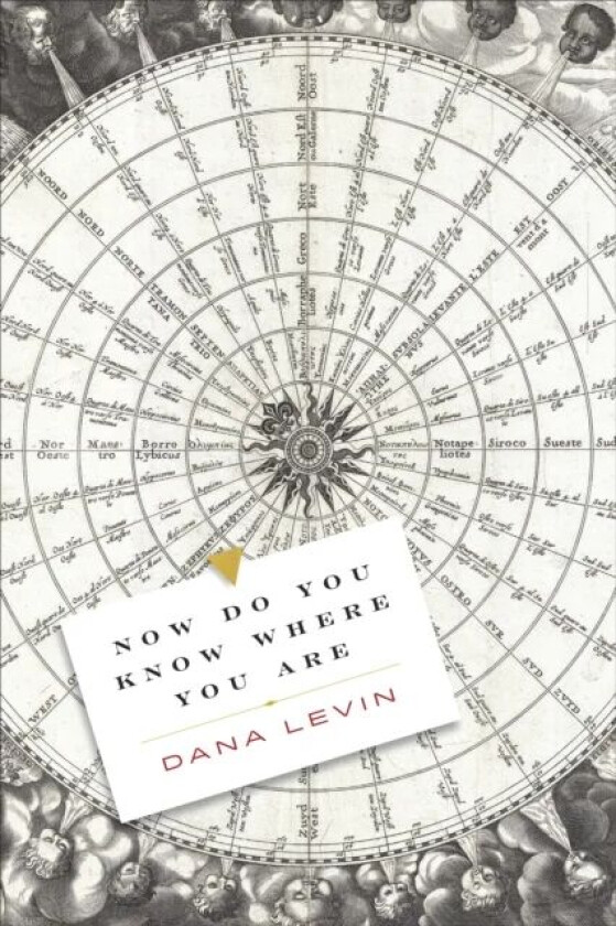 Now Do You Know Where You Are av Dana Levin