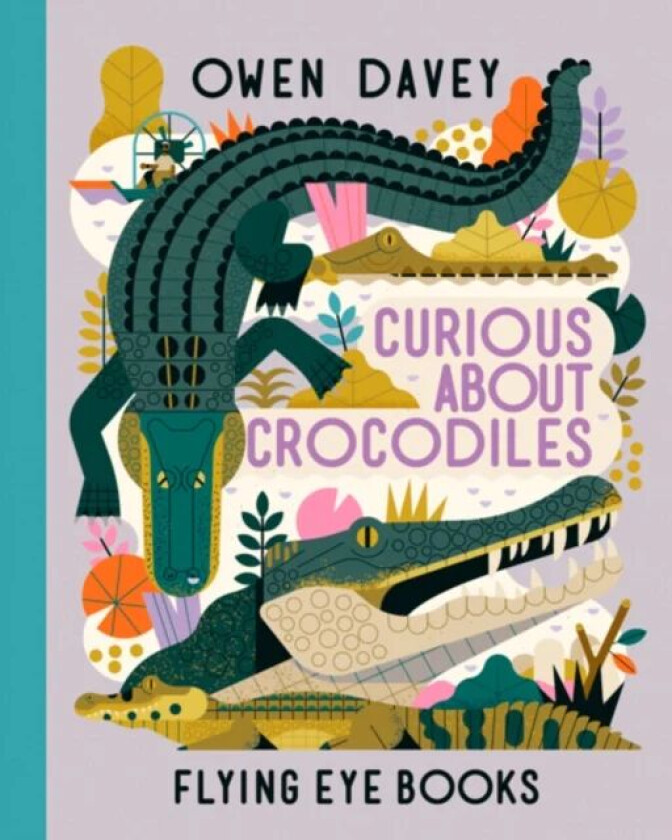 Curious About Crocodiles av Owen Davey