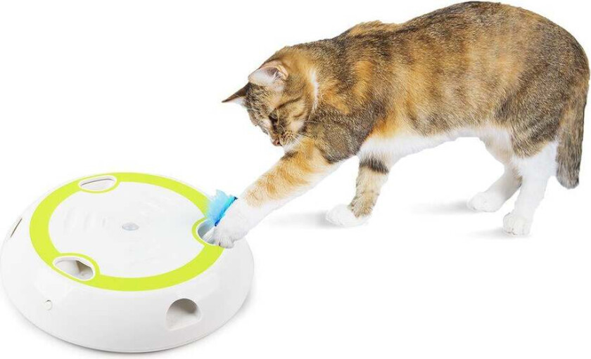 All For Paws - Cat Toy Interactive Wack'A'Feather 27X27X5.5Cm - (787.7562)