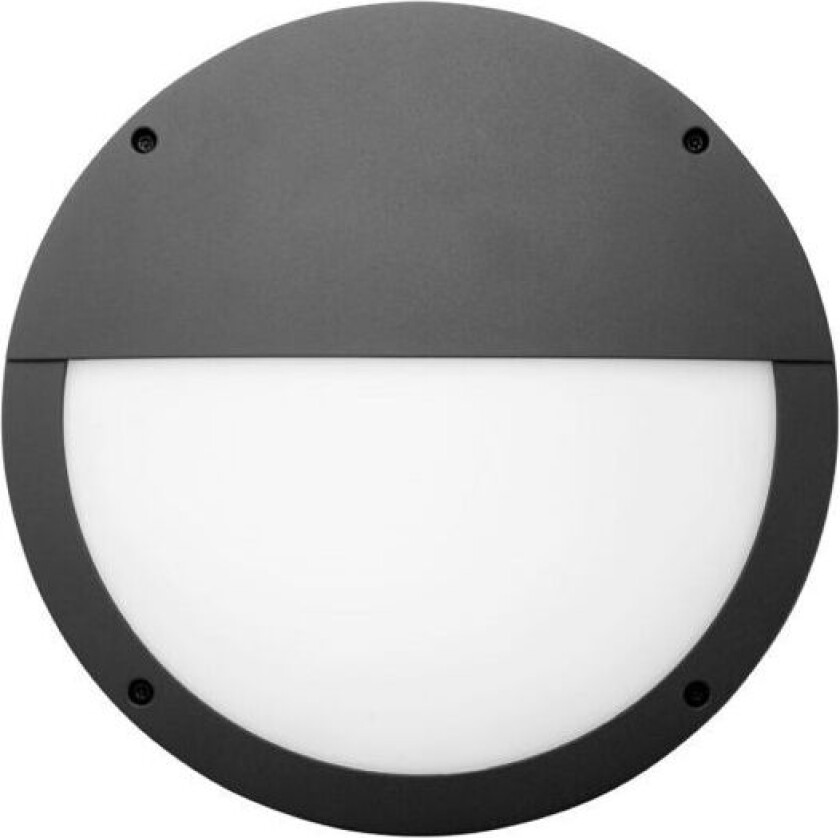 Halo Eye Tak- og veggarmatur antrasittgrå, 14 W, IP65