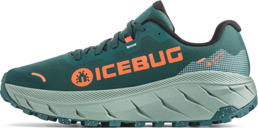 Arcus 2 RB9X GTX Herre SeaMoss/Coral 47