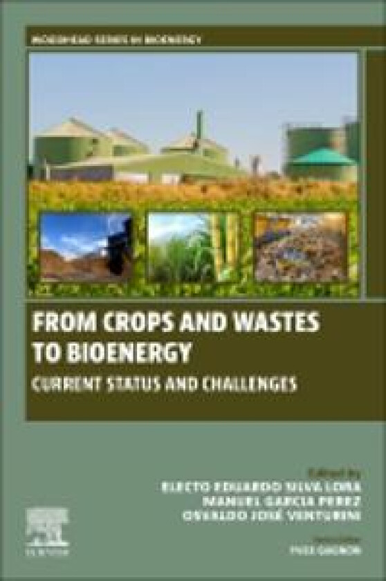 Bilde av From Crops and Wastes to Bioenergy