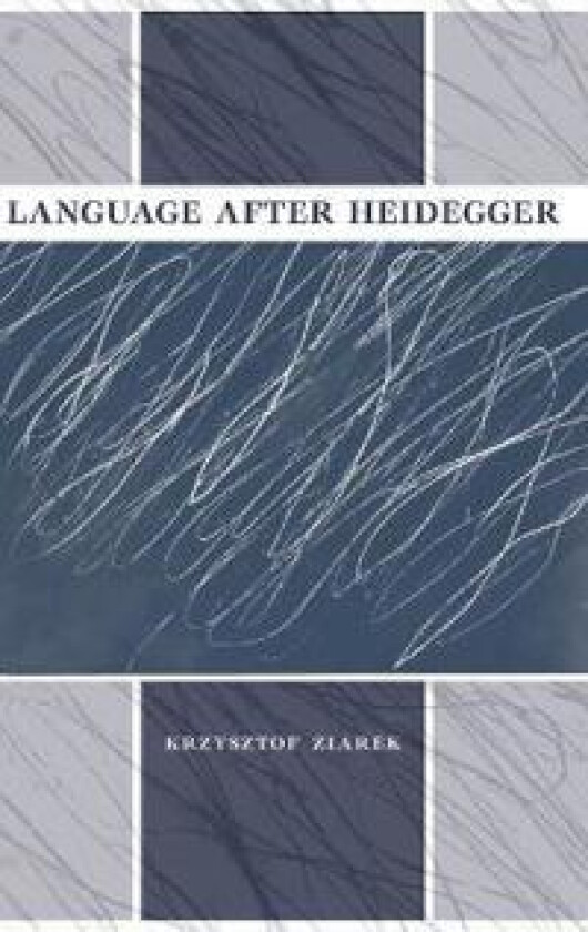 Language after Heidegger