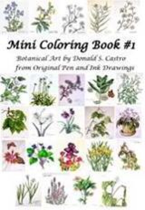 Mini Botanical Art Coloring Book: Pen & Ink Drawings