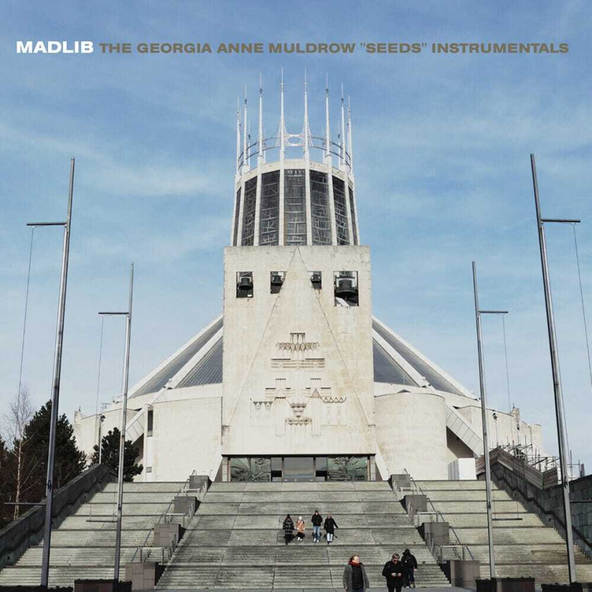 Madlib Seeds Instrumentals LP/Vinyl