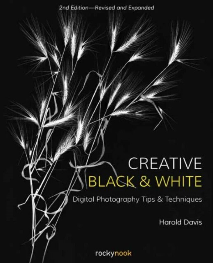 Creative Black and White av Harold Davis