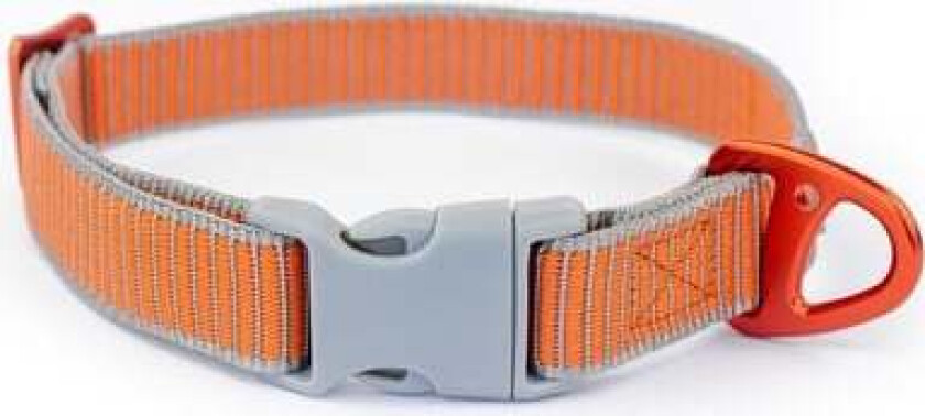 - Sealines Dog Collar Mixed L - (S6011)