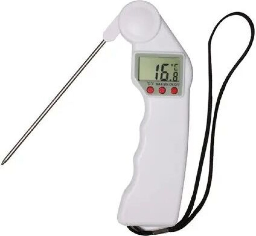 Termometer Instikk