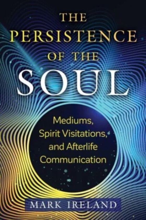 The Persistence of the Soul av Mark Ireland