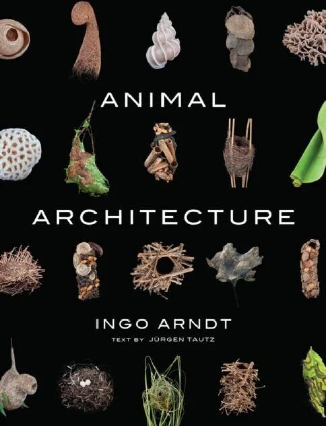 Animal Architecture av Ingo Arndt