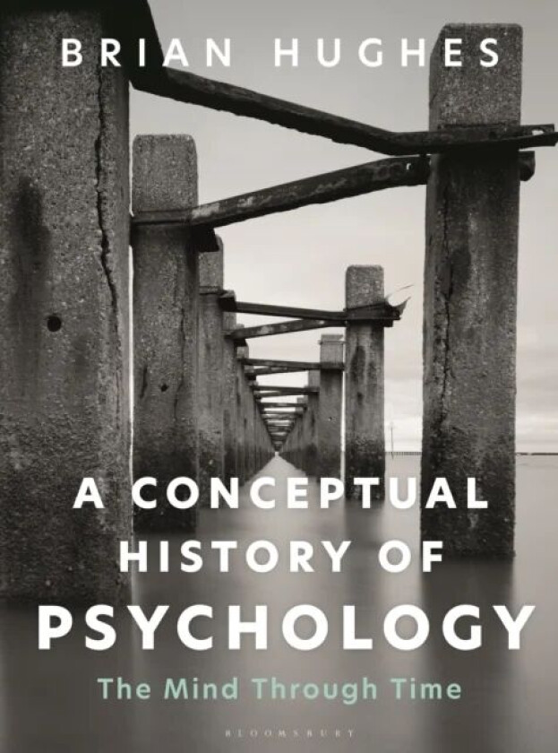 A Conceptual History of Psychology av Brian (University of Galway Ireland.) Hughes