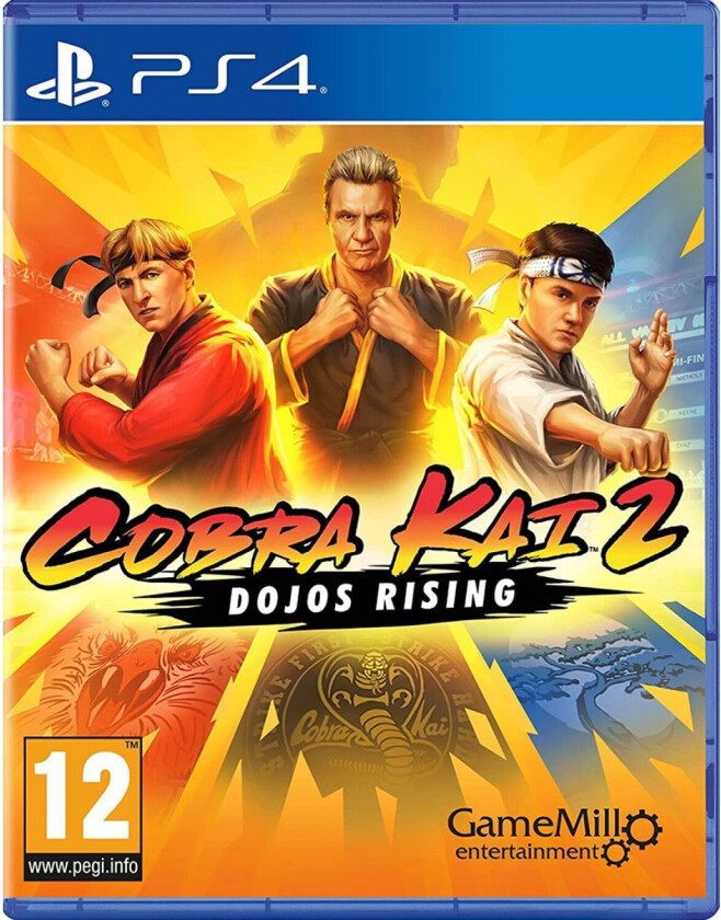 Cobra Kai 2: Dojos Rising