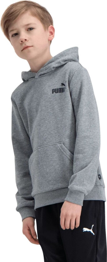 Essentials Small Logo Hoodie, hettegenser junior Medium Gray Heather