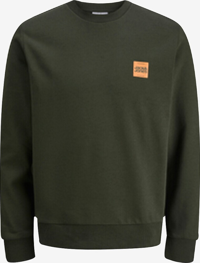 Collegegenser jjbRandy Crew Neck Pls - Grønn