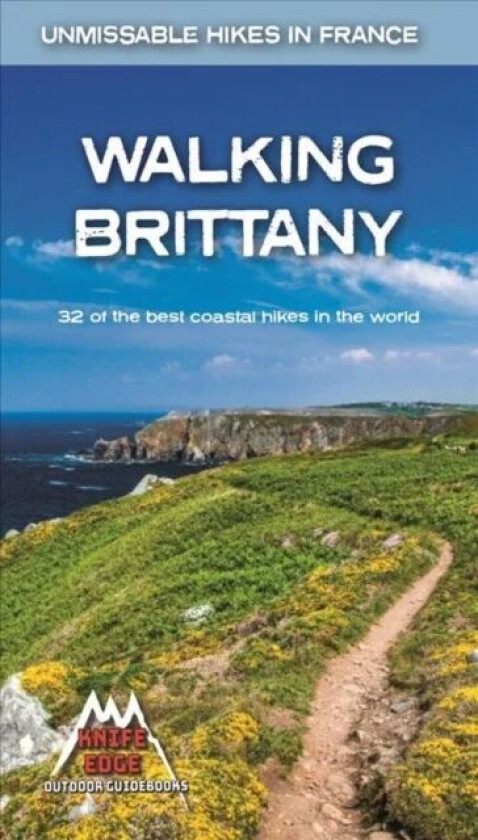 Walking Brittany av Andrew McCluggage
