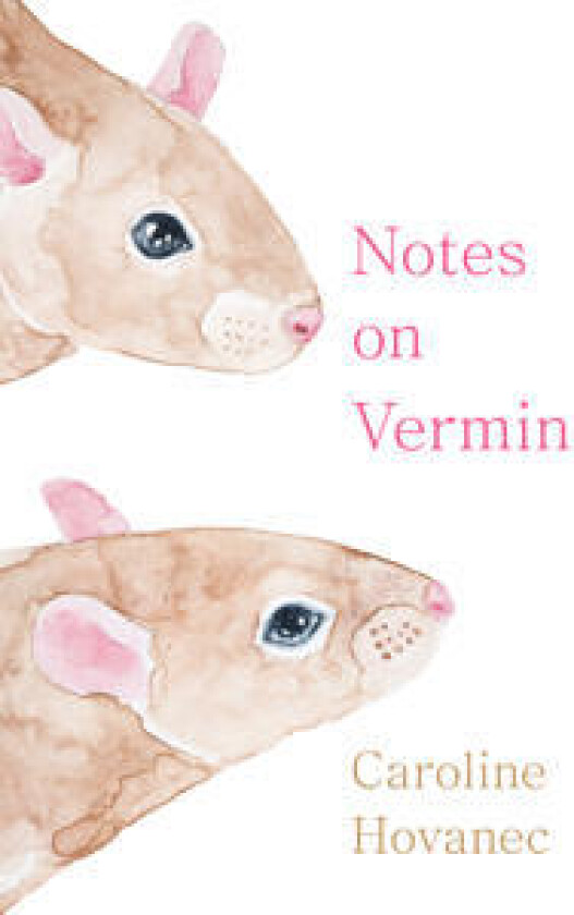 Notes on Vermin