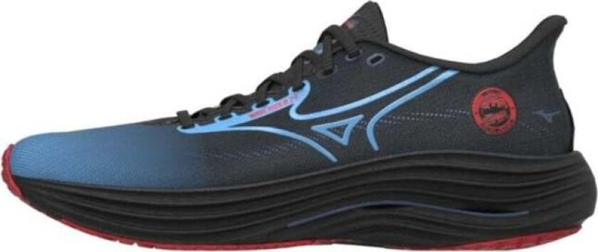 Wave Rider 29 Amsterdam