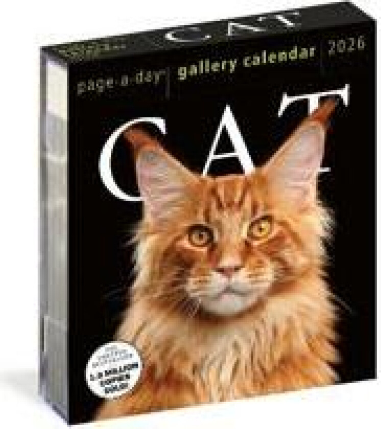 Cat Page-A-Day® Gallery Calendar 2026