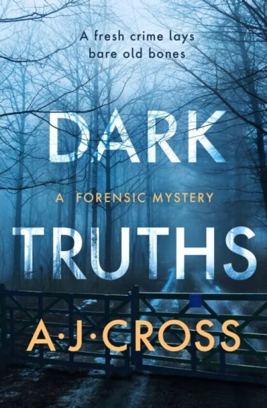 Dark Truths av A.J. Cross