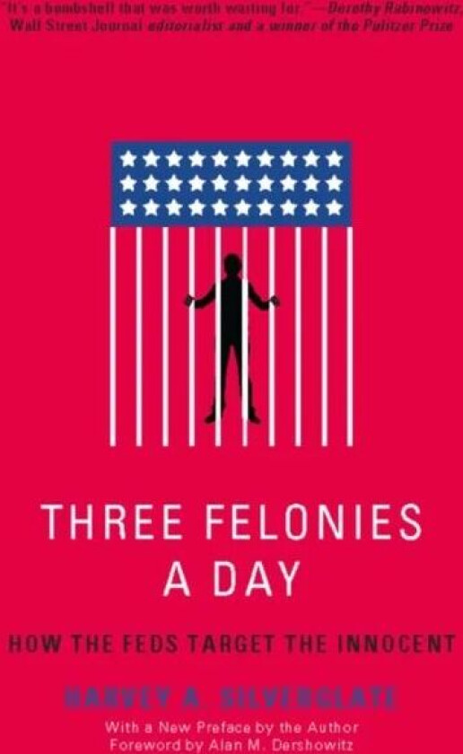 Three Felonies A Day av Harvey Silverglate