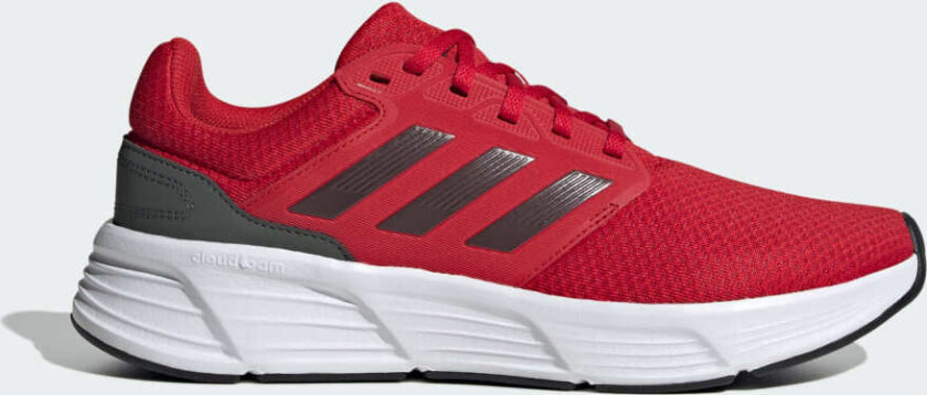 Galaxy 6 Herre Better Scarlet/Aurora Met./Legend Ivy 40 2/3