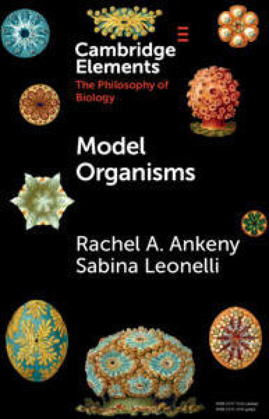Model Organisms