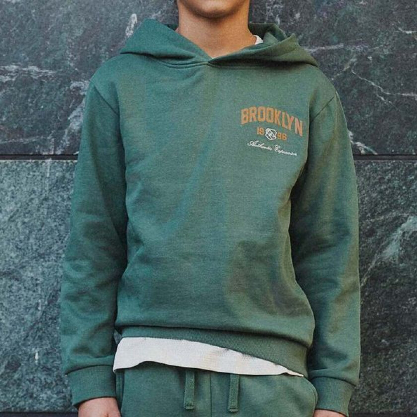 Name It Nkmnewi hettegenser til barn, Garden Topiary