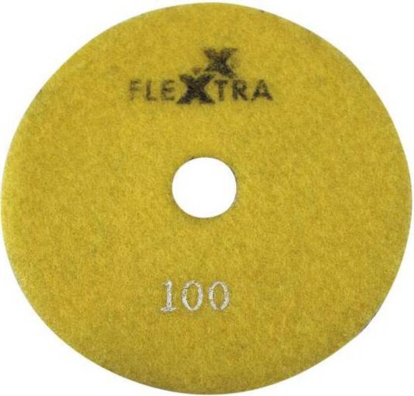 100.170 Diamantslipeskive 125 x 4 mm, våt/tørr Grit 100