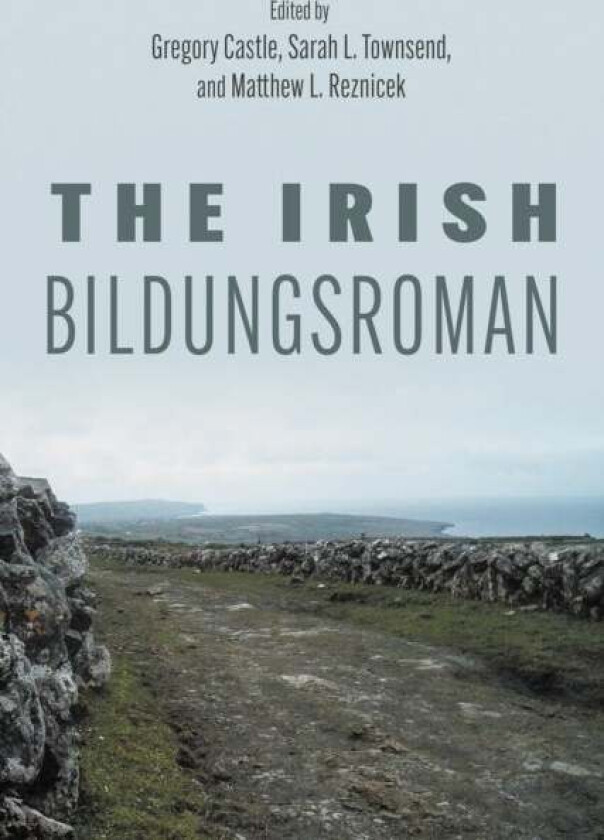 The Irish Bildungsroman