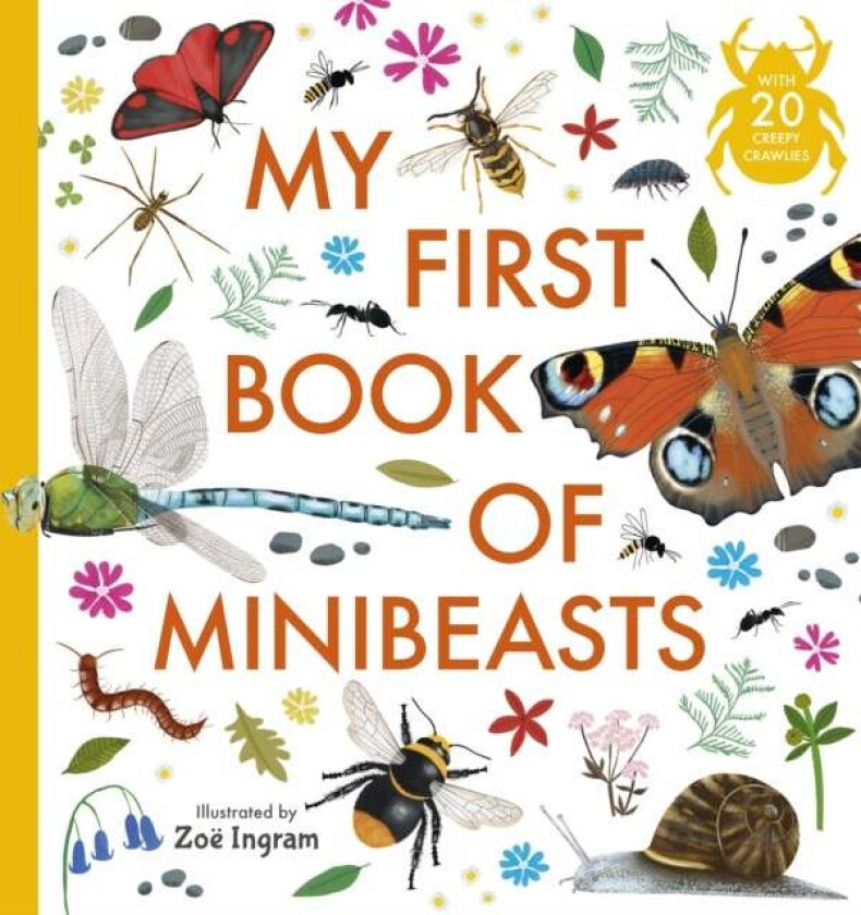 My First Book of Minibeasts av Anonymous