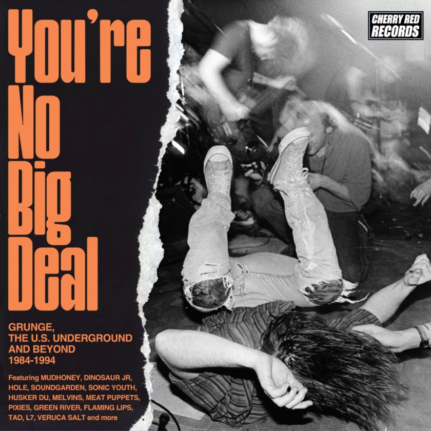 Diverse Artister You’re No Big Deal Grunge, The U.S. Underground and Beyond 19841994 CD