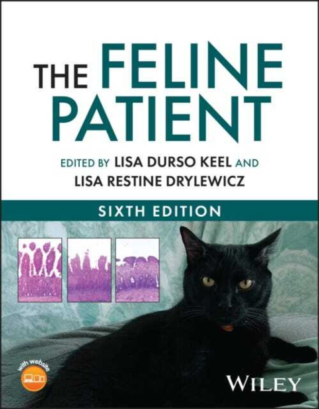 The Feline Patient