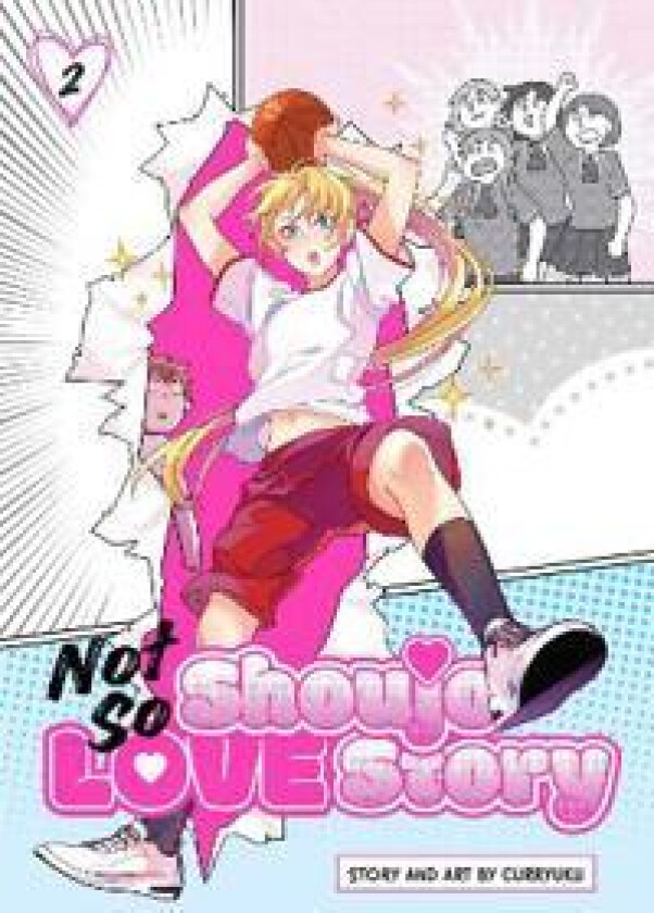 Not So Shoujo Love Story, Vol. 2