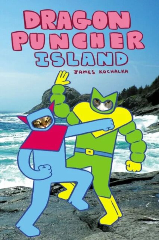 Dragon Puncher Book 2: Dragon Puncher Island av James Kochalka