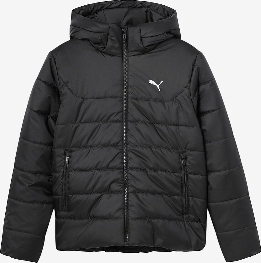 Jakke Ess Hooded Padded