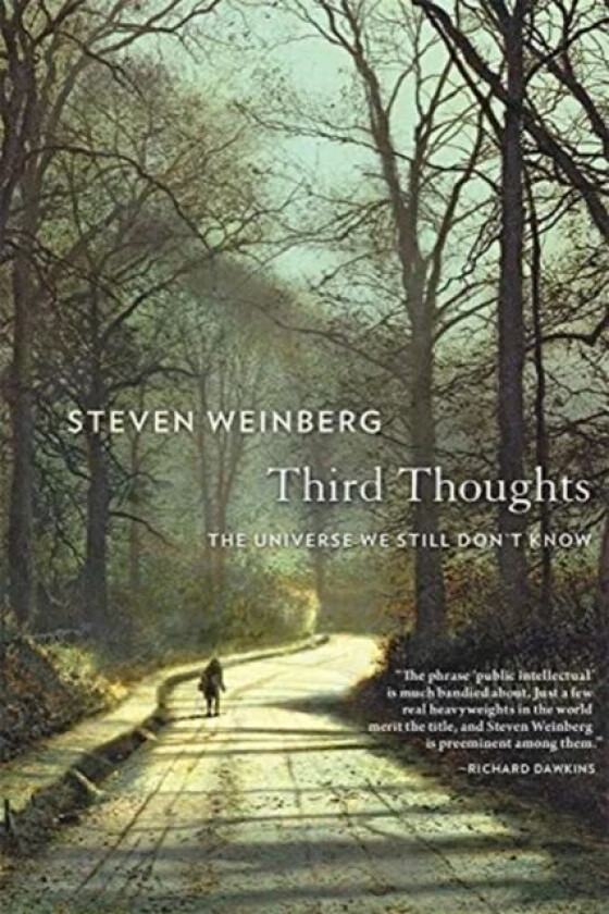 Third Thoughts av Steven Weinberg