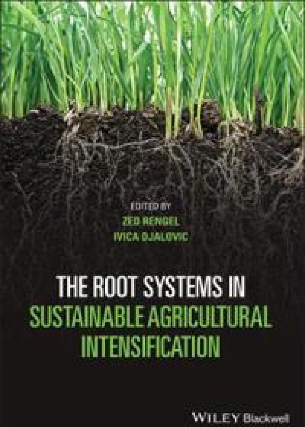 Bilde av The Root Systems in Sustainable Agricultural Intensification