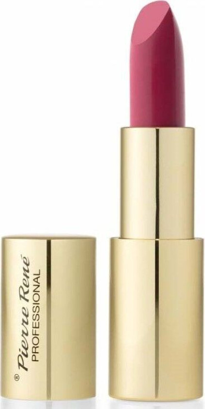 Pierre Rene Royal Mat Lipstick 20 Soft Mulberry
