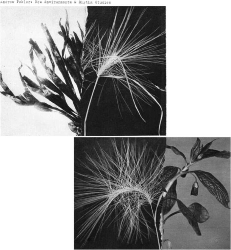 Andrew Pekler New Environments & Rhythm Studies LP/Vinyl