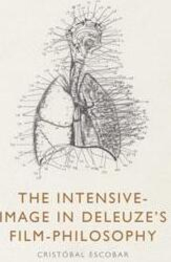 The Intensive-Image in Deleuze’s Film-Philosophy