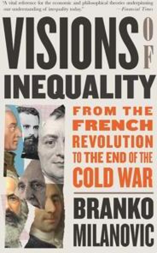 Visions of Inequality