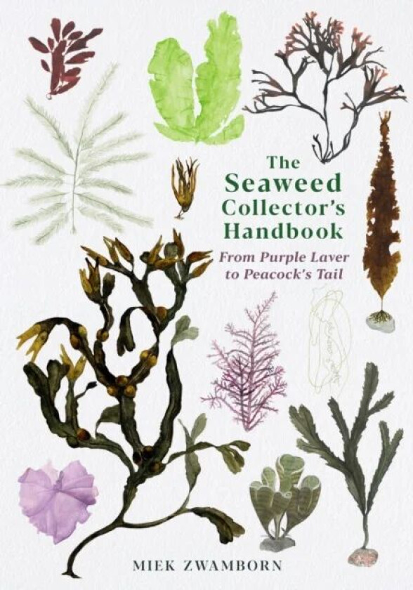 The Seaweed Collector's Handbook av Miek Zwamborn