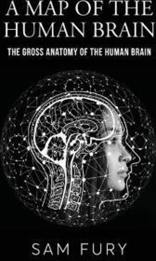 A Map of the Human Brain