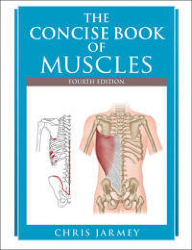 The Concise Book of Muscles