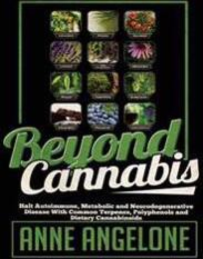 Beyond Cannabis: Halt Autoimmune, Metabolic and Neurodegenerative Disease With Common Terpenes, Polyphenols and Dietary Cannabinoids