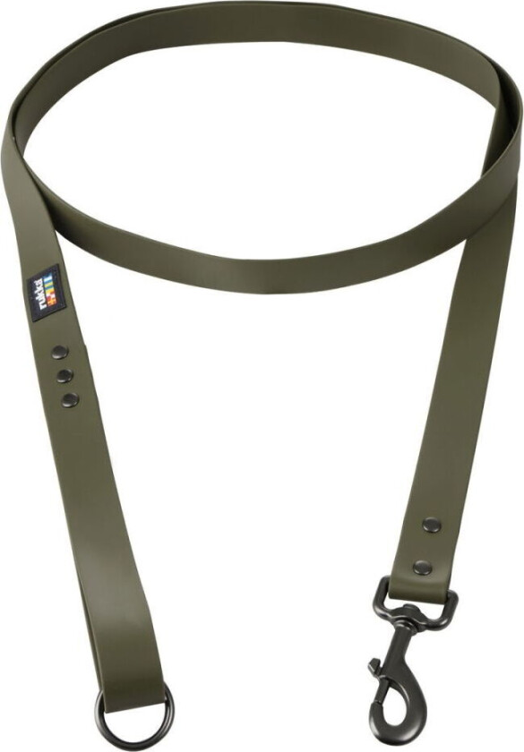 Biodipro Hundebånd Grønn 180 cm (S)
