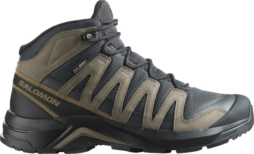 Men's X-Adventure Recon Mid GORE-TEX Asphalt/falcon/coyote Brown