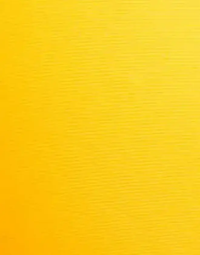 Gul - Harmony Bikini Panty